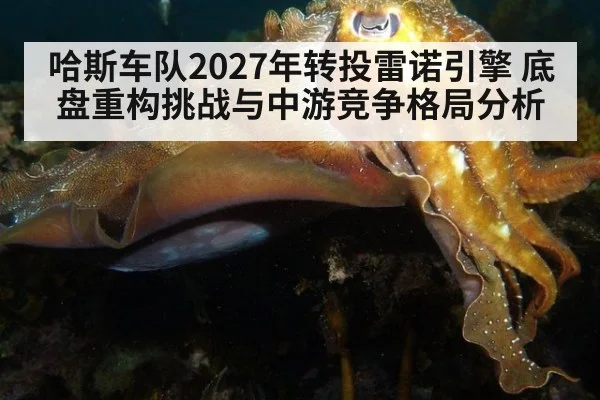 哈斯车队2027年转投雷诺引擎 底盘重构挑战与中游竞争格局分析